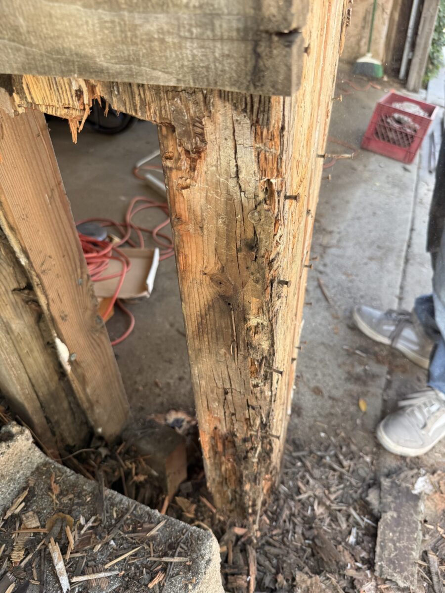 Wooden post severely damaged by termites in a construction area.