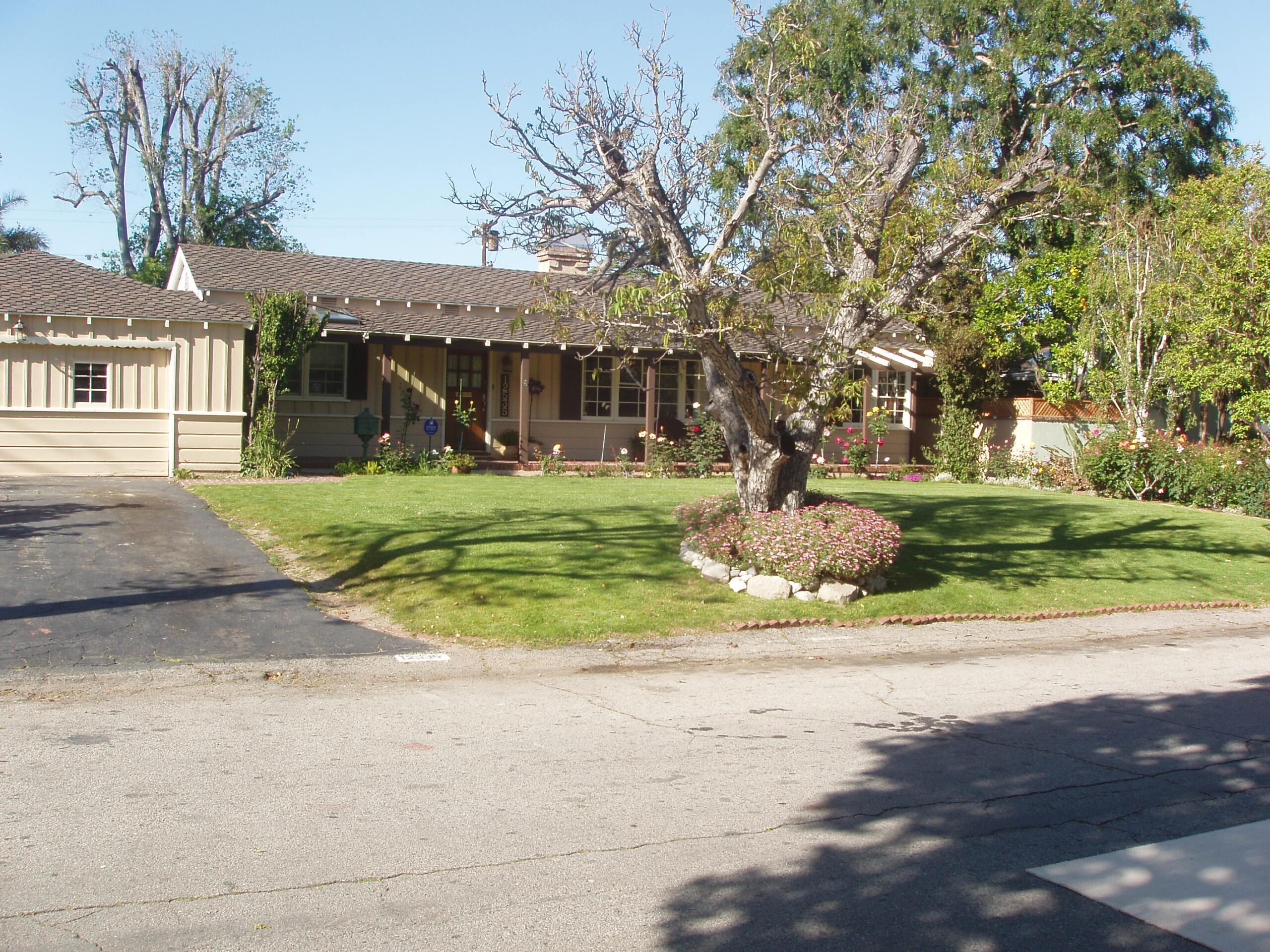 Single-story house with a large tree in front yard on a sunny day.