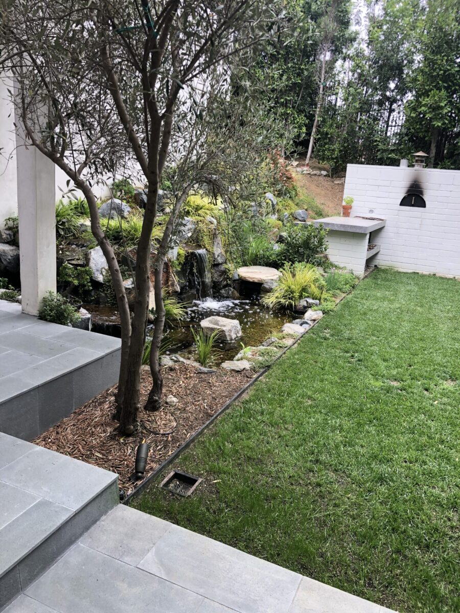 A well-maintained backyard garden with grass, plants, and a small tree. A well-maintained backyard garden with grass, plants, and a small tree.
