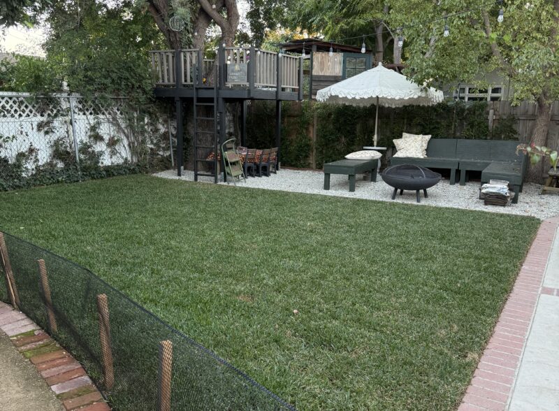 Backyard with green lawn, patio furniture, and trees.